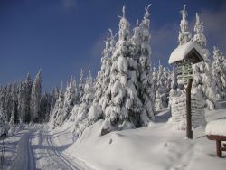 ﻿Günstiger Skiurlaub in Oberhof